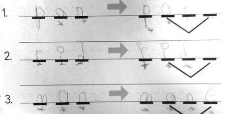 After writing sample of first grader with autism