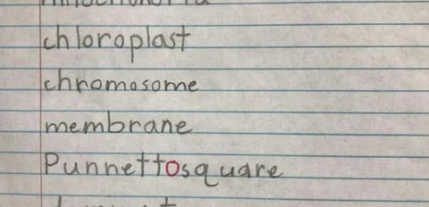 After writing sample of 6th grader with ADHD