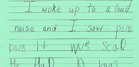 Before handwriting sample